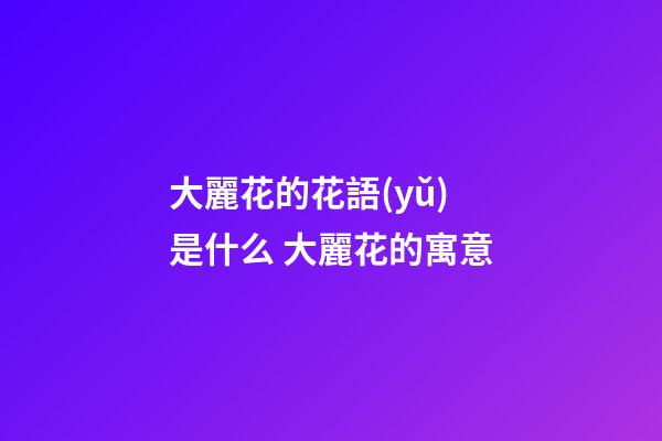 大麗花的花語(yǔ)是什么 大麗花的寓意